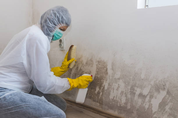 Best Water Damage Restoration  in High Bridge, WA