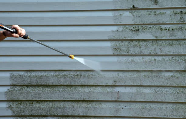 Mold Removal Process in High Bridge, WA
