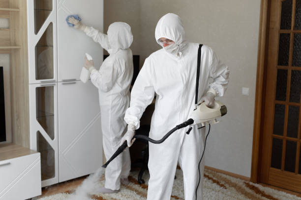 Best Mold Testing and Removal  in High Bridge, WA
